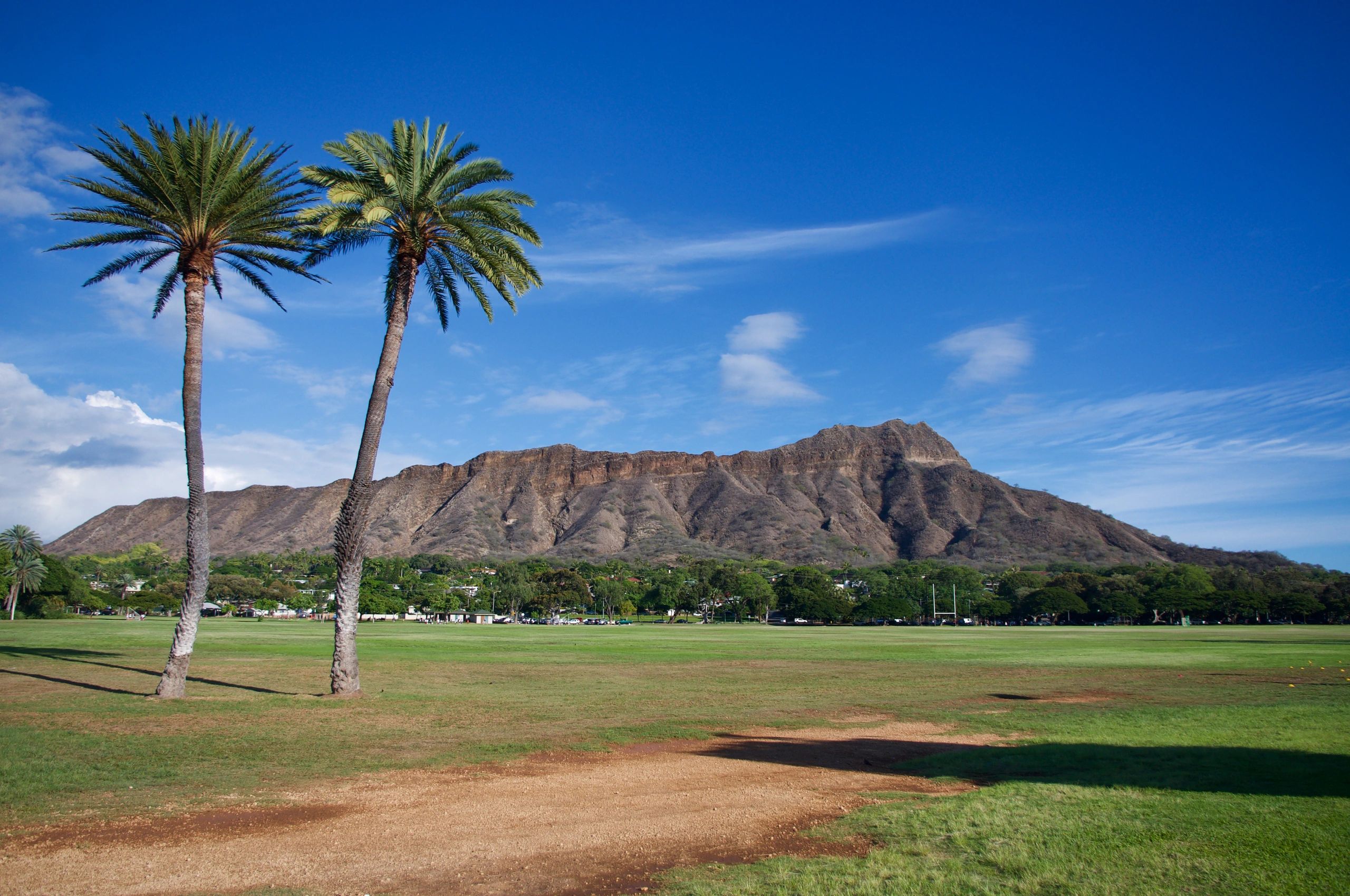 Diamond Head framed by palm trees in Waikiki